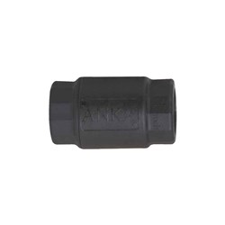 NYGLASS SPRING CHECK VALVE - BSP female