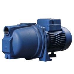 REEFE RSWE120 Shallow Well Jet Pump Only