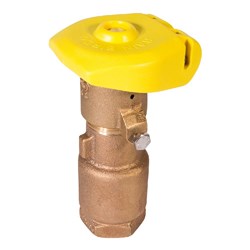 RAINBIRD-25MM 44RC Quick Coupling Valve - 2 Piece Body, Rubber Cover