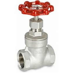 STAINLESS STEEL 316 GATE VALVE - BSP Female, PTFE