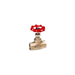 STAINLESS STEEL 316 GLOBE VALVE - BSP Female, PTFE