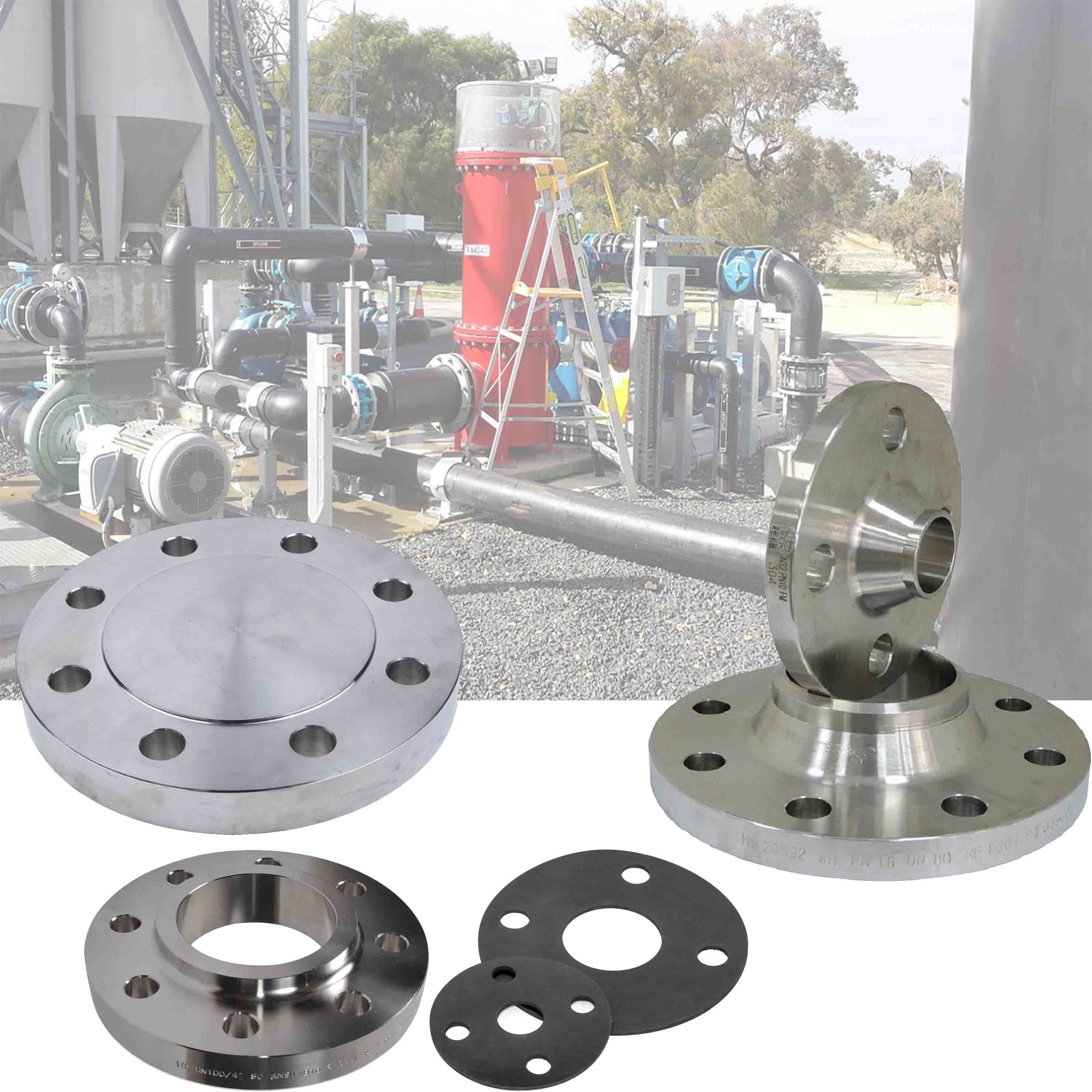 Flanges, Gaskets & Fasteners