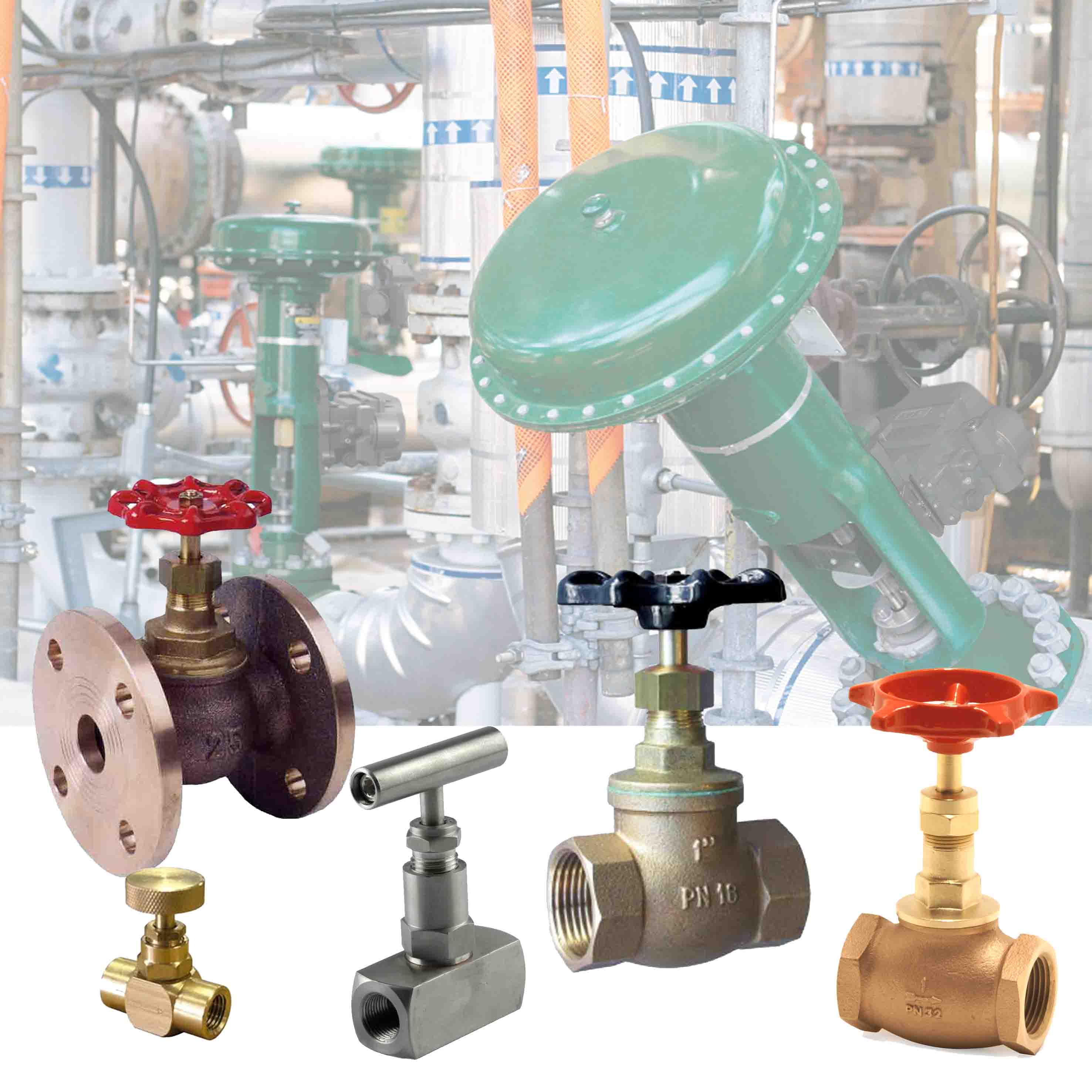 Globe & Needle Valves